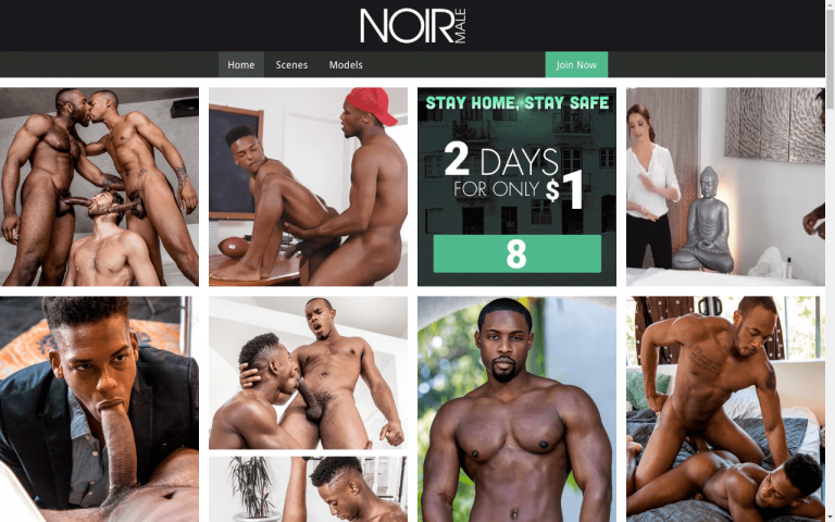 Noirmale - Top Premium Gay Porn Sites