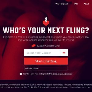 Flingster - top Sex Chat Sites List